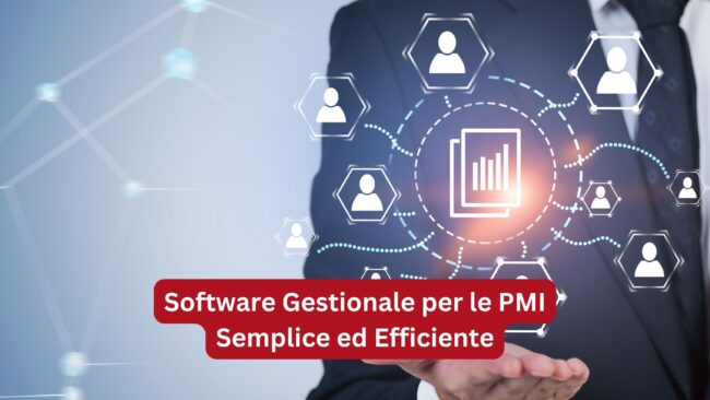Software Gestionale per le PMI - Gestionale PMI Semplice - Gestionale PMI Efficiente - Spring Software Gestionale AGM