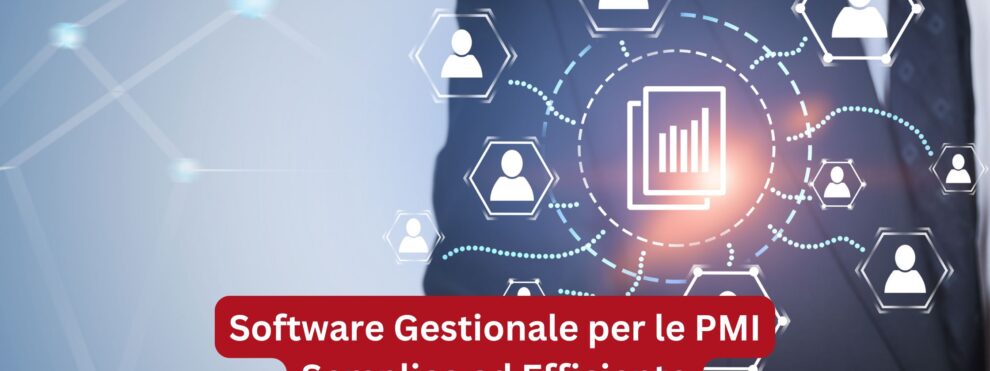 Software Gestionale per le PMI - Gestionale PMI Semplice - Gestionale PMI Efficiente - Spring Software Gestionale AGM
