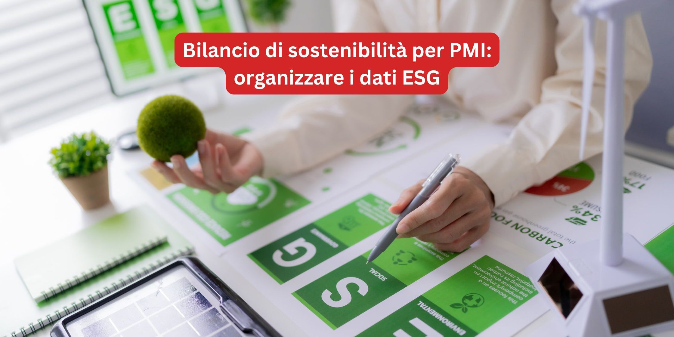 Bilancio di sostenibilita per PMI organizzare i dati ESG software sistemi programma gestionale ESG software esg agm