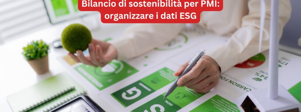 Bilancio di sostenibilita per PMI organizzare i dati ESG software sistemi programma gestionale ESG software esg agm